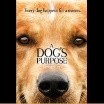 A Dog's Purpose (2017)